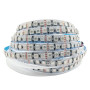 Мультиколор лента RGB 5050 премиум класса светодиодная ip20 120led/m