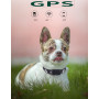 GPS-трекер P03 для пошуку хатніх тварин GSM AGPS LBS Wifi великий акумулятор